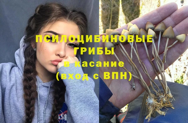 прущий лед Володарск