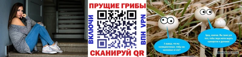 Галлюциногенные грибы мицелий  Купить закладки  Миасс 